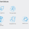 MODELO WASIN CARACTERÍSTICAS COLCHÓN MODELO MAVICK